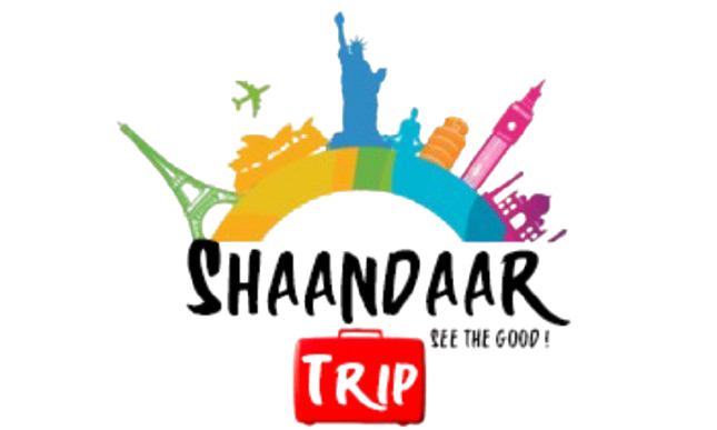 Shaandaar – Trip